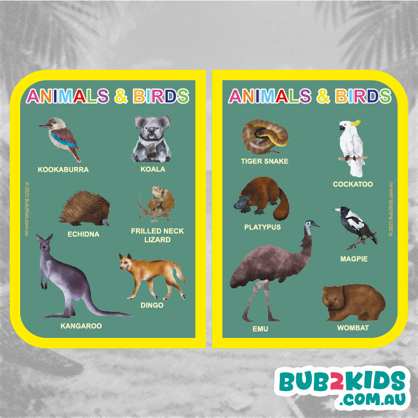 Two educational posters showing Australian animals and birds with labels on a textured gray background.