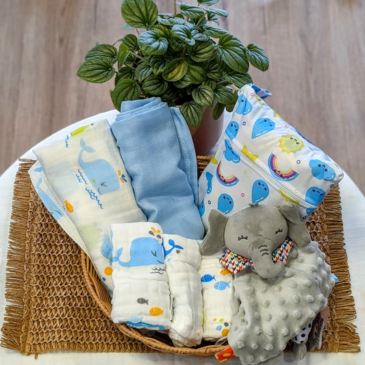 Preselected Gift Bundle Under $70 - For Boy